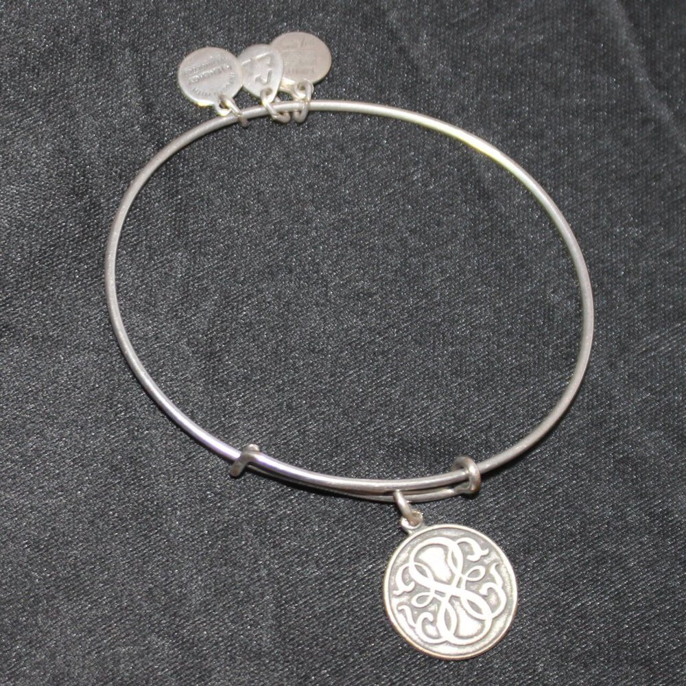 Alex and Ani Infinity Charm Bracelet